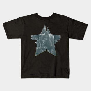 The Cat is the Only Star Kids T-Shirt